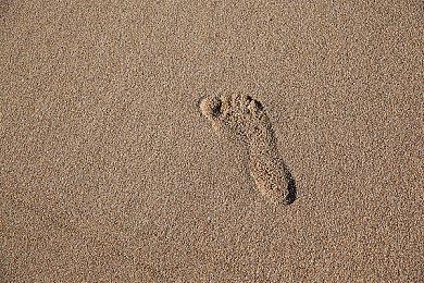 短短一周内 Steam创造了3500万玩家的新纪录